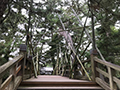 「松籟の宴 2020」竹と菊のインスタレーション展